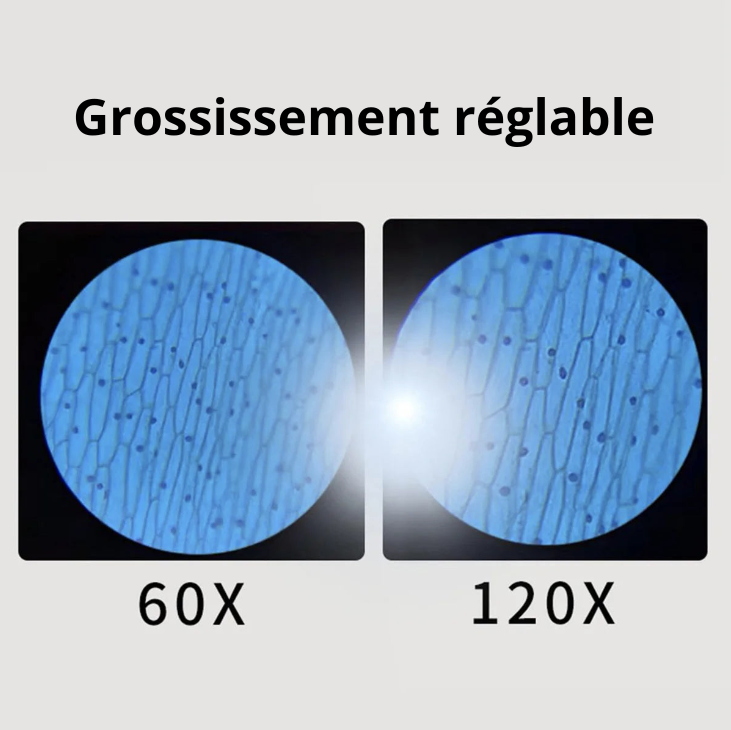 Le Kit d'Explorateur Scientifique